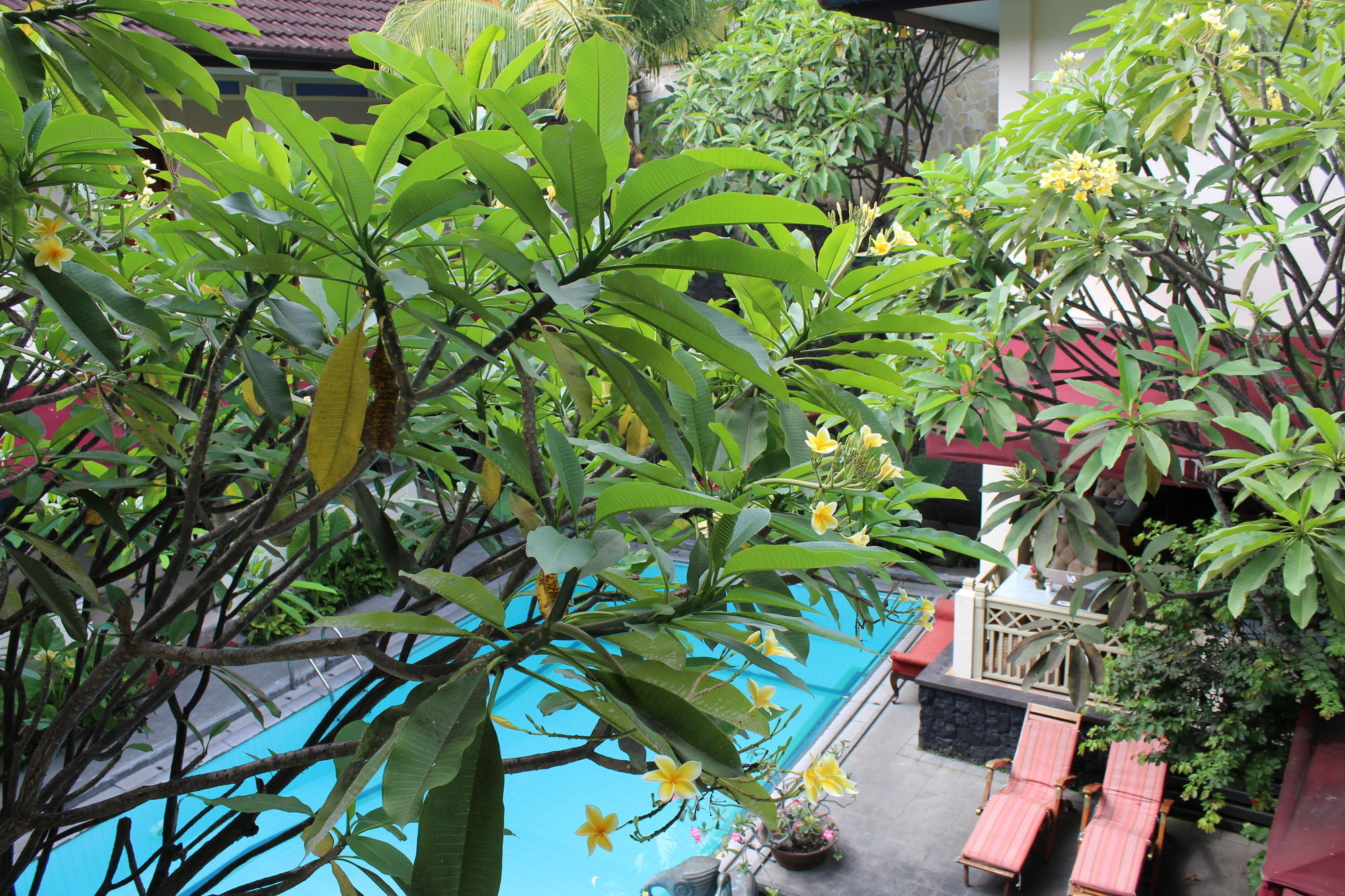 Hotel Indah Palace Yogyakarta Extérieur photo